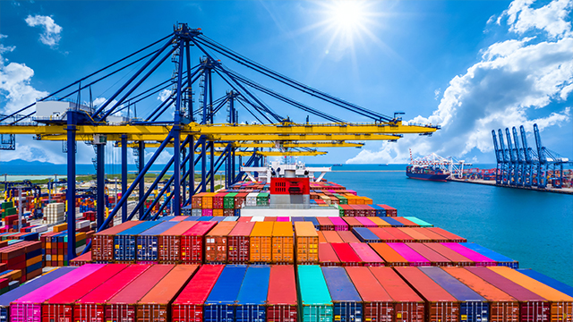 What are the Advantages of Investing in Freight Management Software